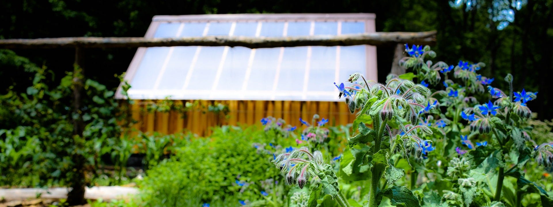 A mobile solar kiln in North Carolina